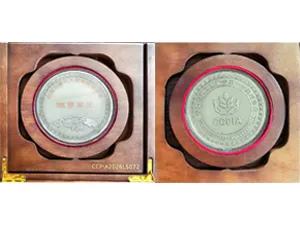 Dewan ke-11 Asosiasi Industri Tiongkok 